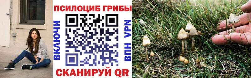 Псилоцибиновые грибы мухоморы  хочу наркоту  Белебей 